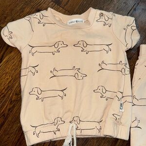Rabbit Bear Sweat Suit set. Wiener dog.